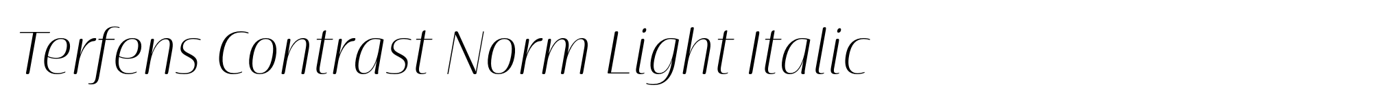 Terfens Contrast Norm Light Italic image